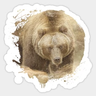 Brown Bear Grizzly Animal Wildlife Forest Jungle Nature Adventure Sticker